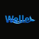 Welle